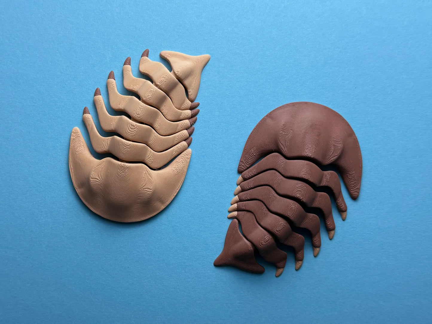 Articulated Trilobite